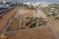 دعوة عامة لحضور جلسة محكمة تخص مقبرة طاسو الإسلامية بيافا